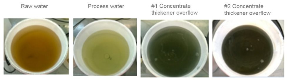 Example of different waters 